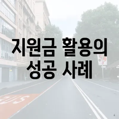 지원금 활용의 성공 사례