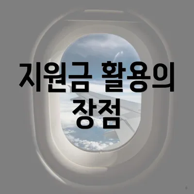 지원금 활용의 장점