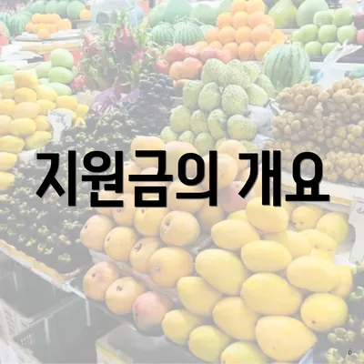 지원금의 개요