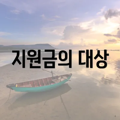 지원금의 대상
