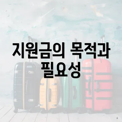 지원금의 목적과 필요성