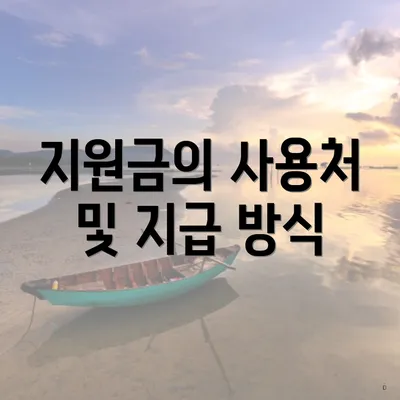 지원금의 사용처 및 지급 방식