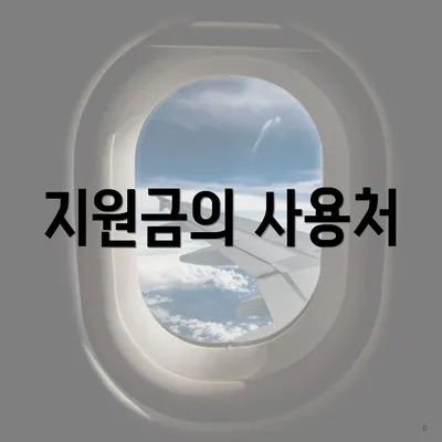 지원금의 사용처