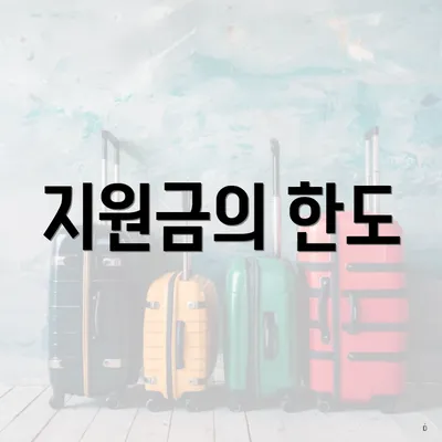 지원금의 한도