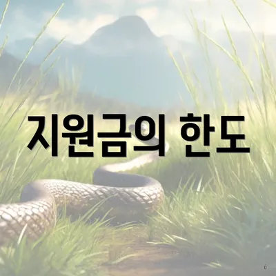 지원금의 한도