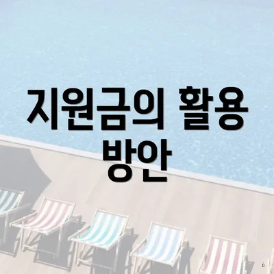 지원금의 활용 방안