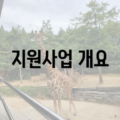 지원사업 개요