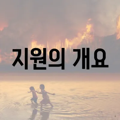 지원의 개요
