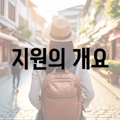 지원의 개요