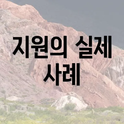 지원의 실제 사례