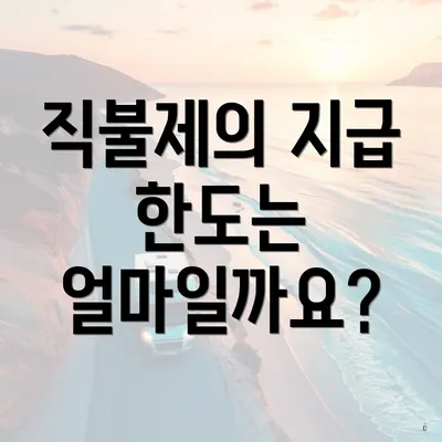 직불제의 지급 한도는 얼마일까요?