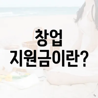 창업 지원금이란?