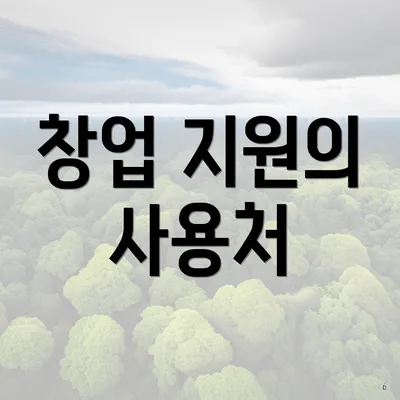 창업 지원의 사용처