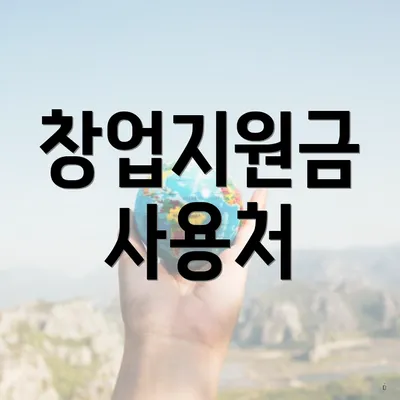 창업지원금 사용처