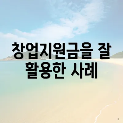 창업지원금을 잘 활용한 사례