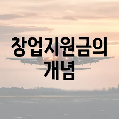 창업지원금의 개념