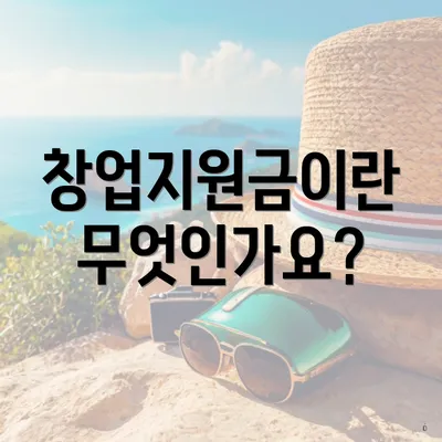 창업지원금이란 무엇인가요?