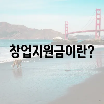 창업지원금이란?