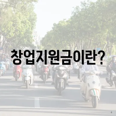 창업지원금이란?