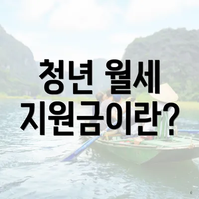 청년 월세 지원금이란?