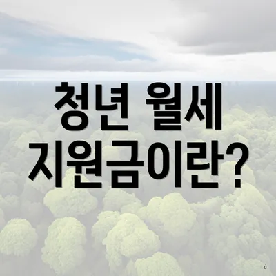 청년 월세 지원금이란?