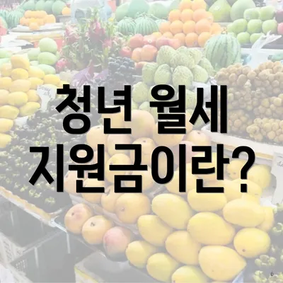 청년 월세 지원금이란?