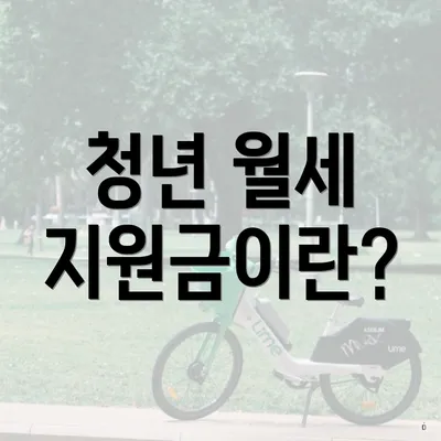 청년 월세 지원금이란?