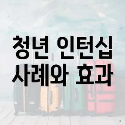 청년 인턴십 사례와 효과
