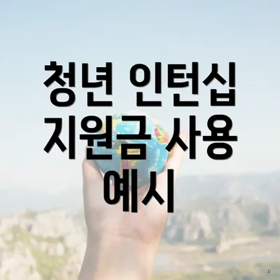 청년 인턴십 지원금 사용 예시