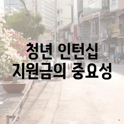 청년 인턴십 지원금의 중요성
