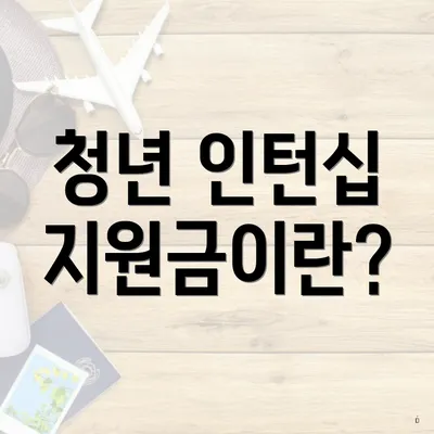 청년 인턴십 지원금이란?