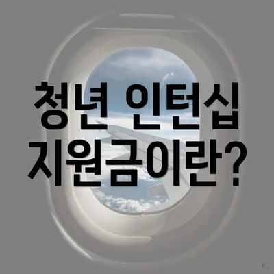 청년 인턴십 지원금이란?