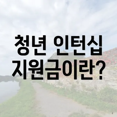 청년 인턴십 지원금이란?