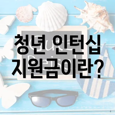 청년 인턴십 지원금이란?