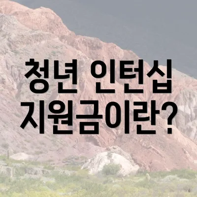 청년 인턴십 지원금이란?
