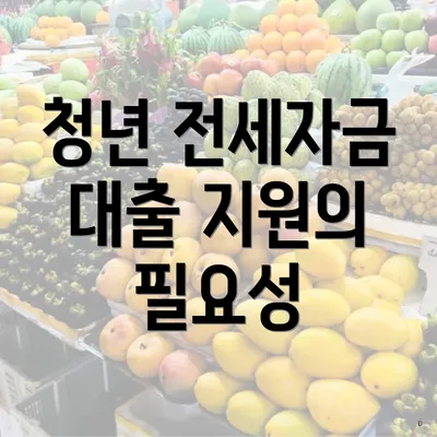 청년 전세자금 대출 지원의 필요성