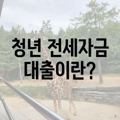 청년 전세자금 대출이란?