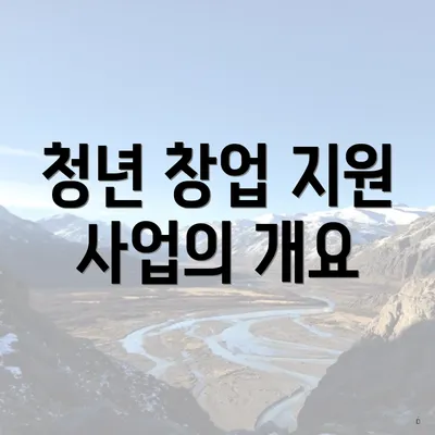 청년 창업 지원 사업의 개요