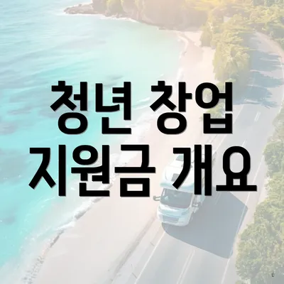 청년 창업 지원금 개요