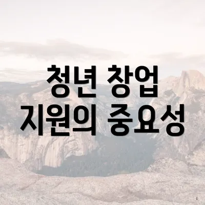 청년 창업 지원의 중요성