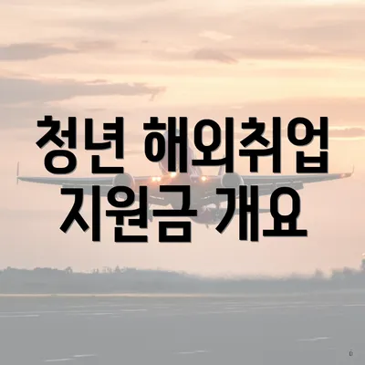 청년 해외취업 지원금 개요
