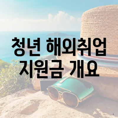 청년 해외취업 지원금 개요