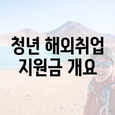 청년 해외취업 지원금 개요