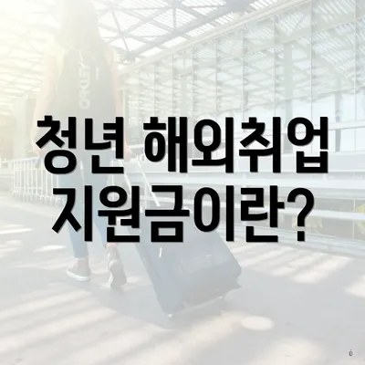 청년 해외취업 지원금이란?