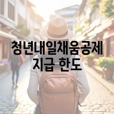 청년내일채움공제 지급 한도