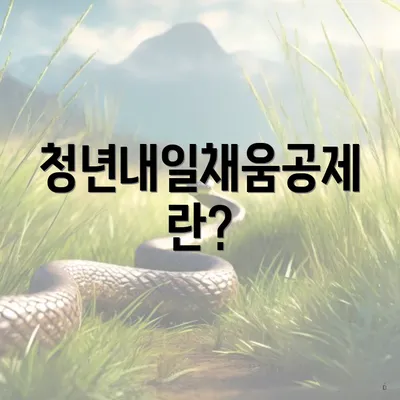 청년내일채움공제란?