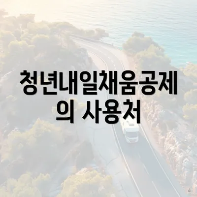 청년내일채움공제의 사용처