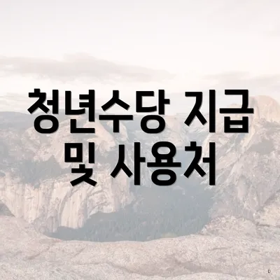 청년수당 지급 및 사용처
