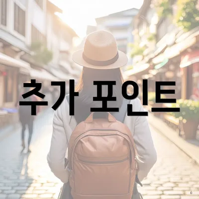 추가 포인트