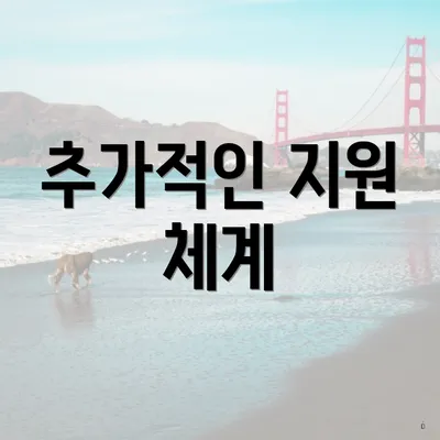 추가적인 지원 체계